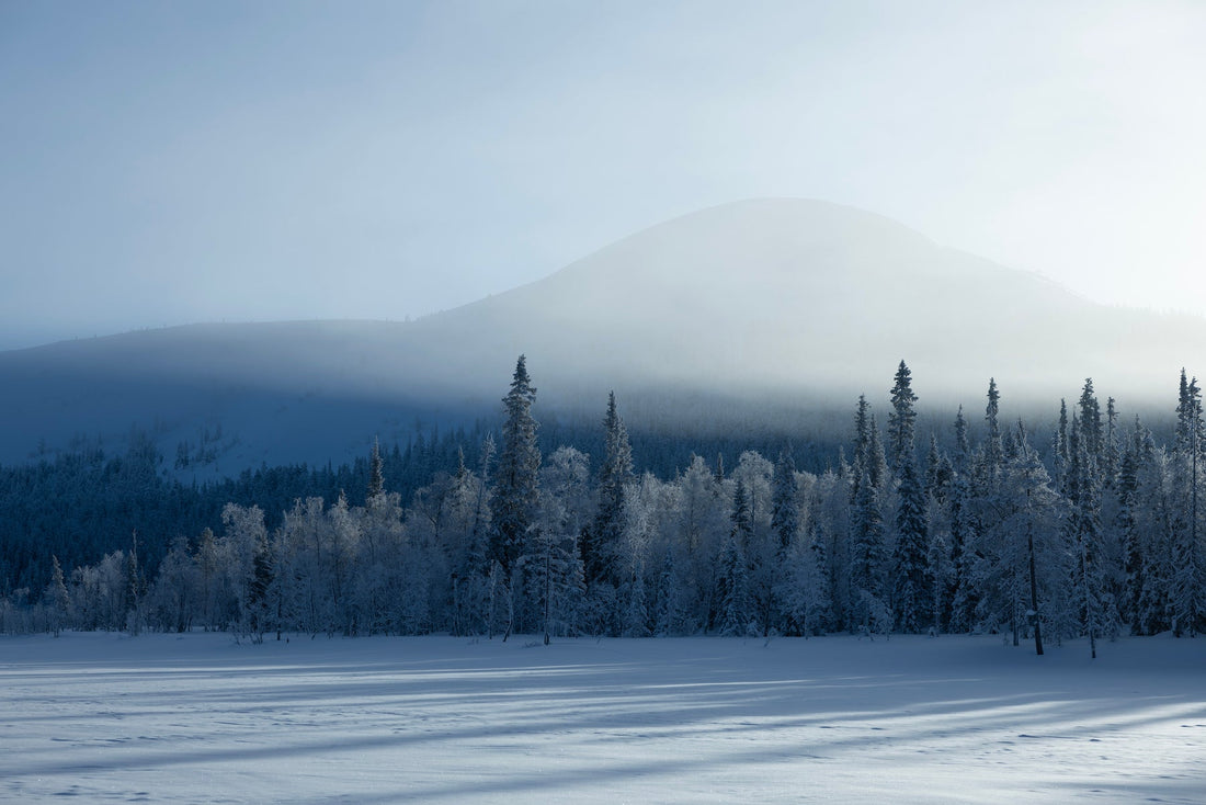 Arctic Weather Explained: Why -10°C Can Feel Like -30°C (or Warmer!)