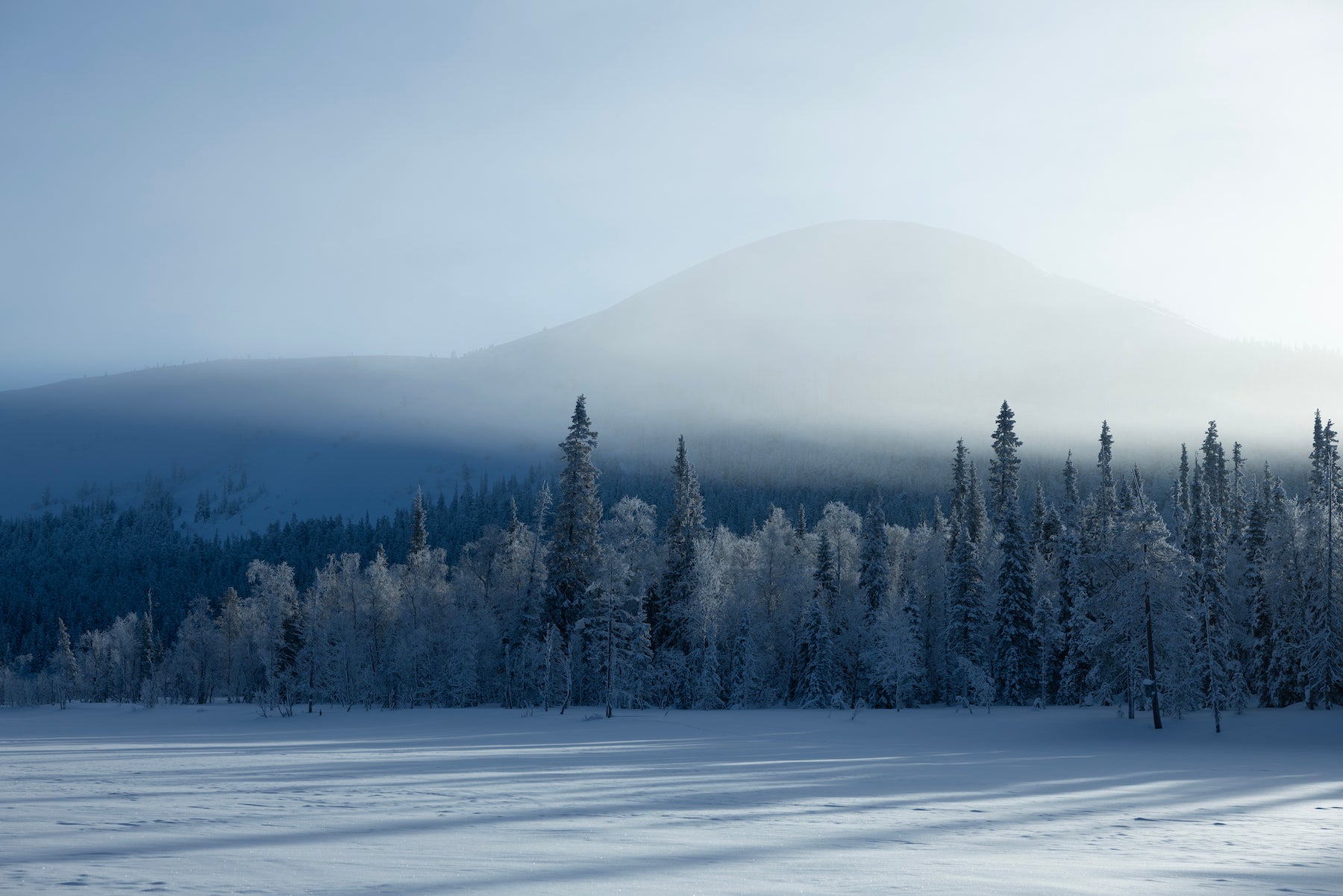Arctic Weather Explained: Why -10°C Can Feel Like -30°C (or Warmer!)