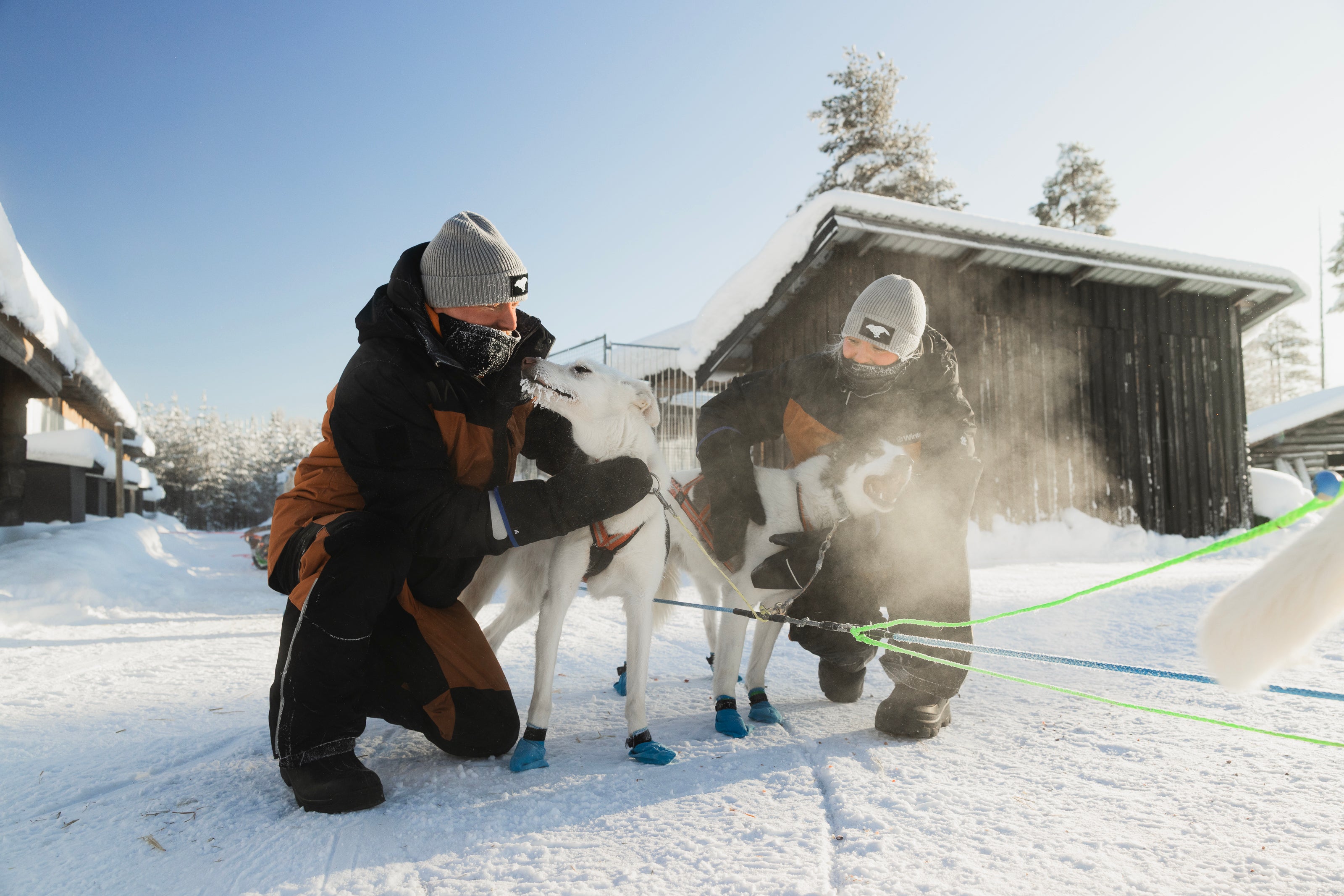Two travellers with huskies in Finland
